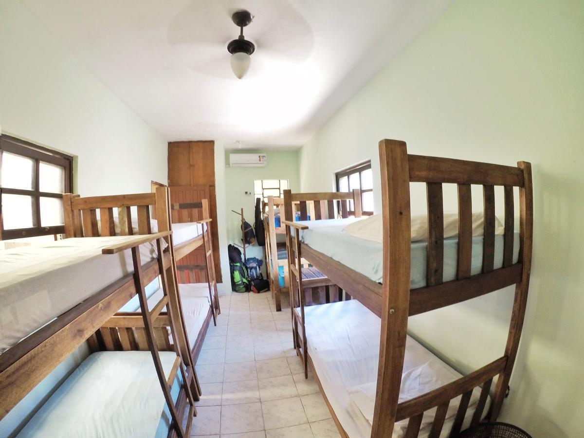 Bed 8-Bed Mixed Dormitory Room Superior,661089609:JPEG